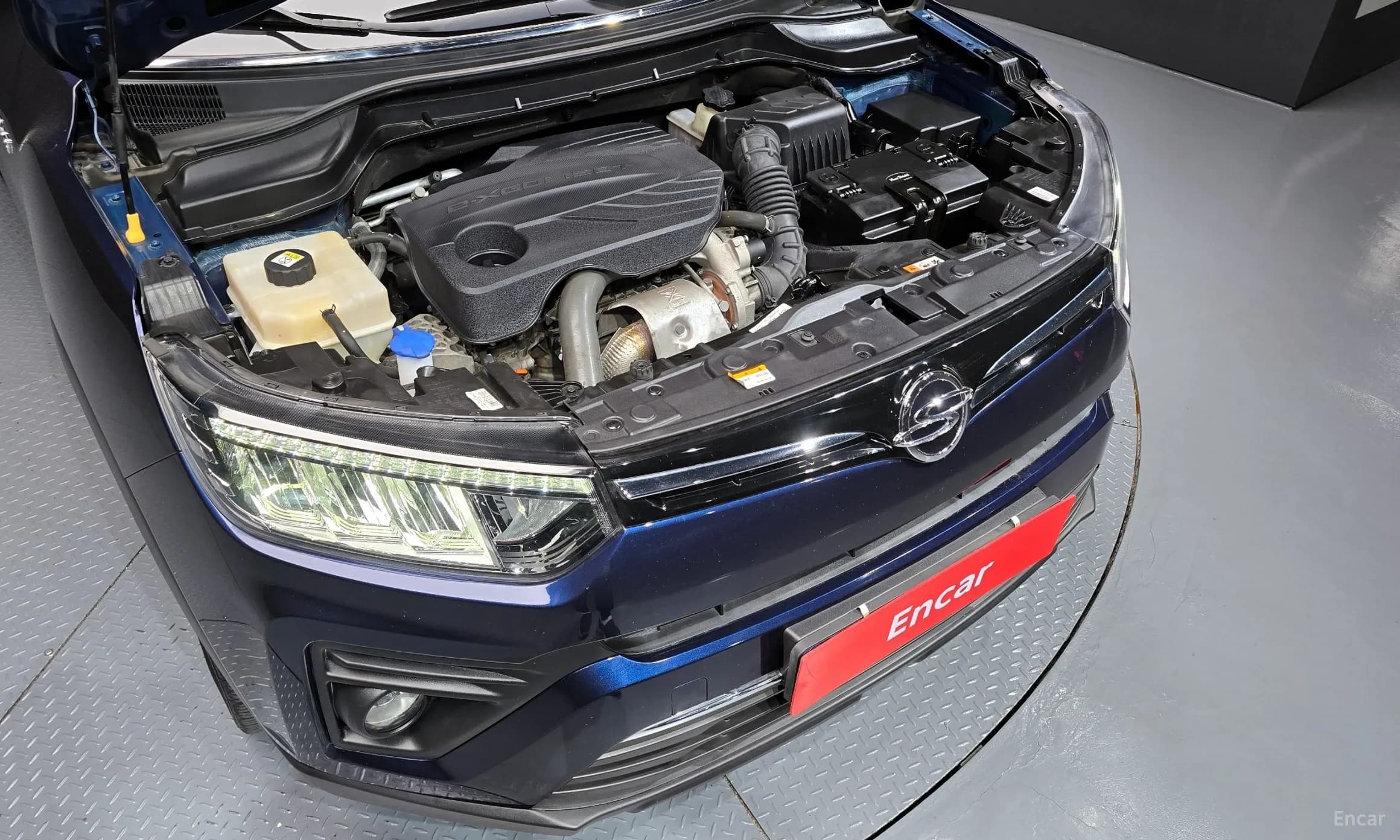 Berry New Tivoli