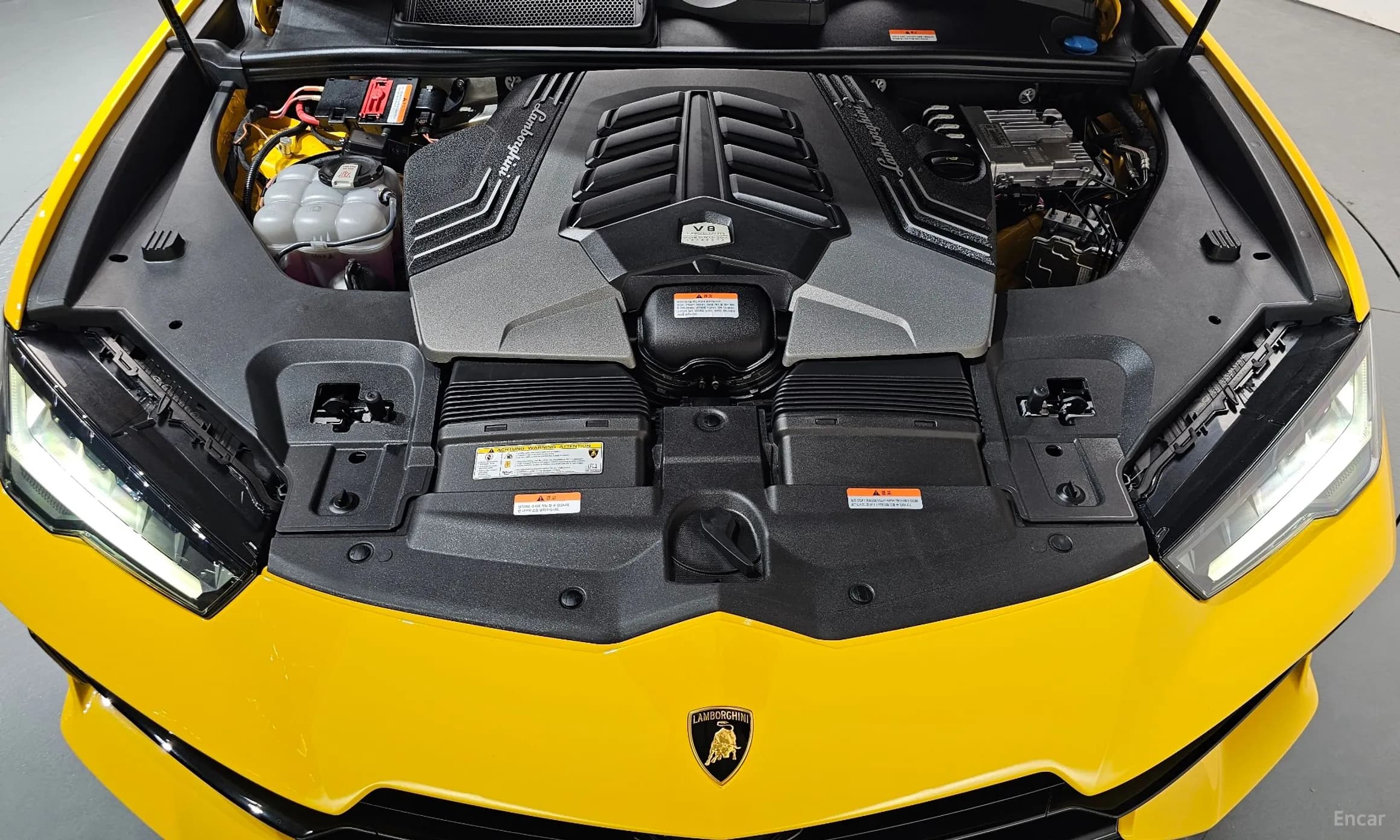Urus