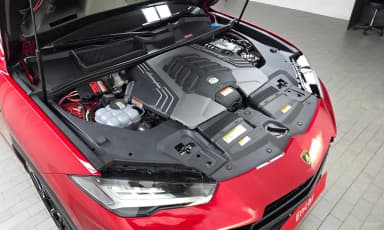 Urus