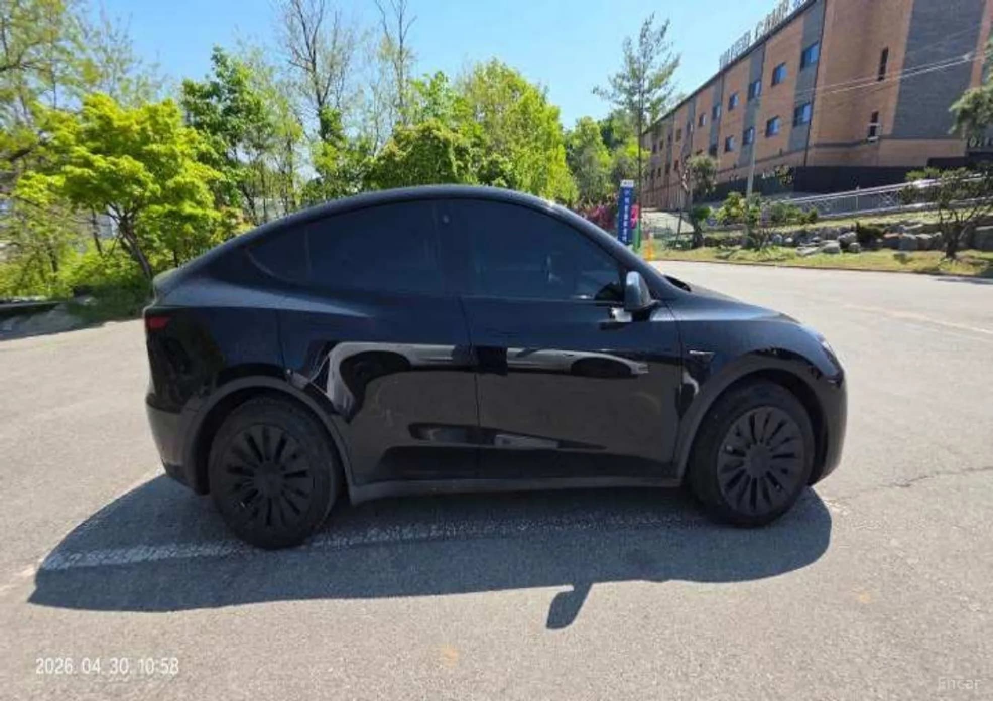 Model Y