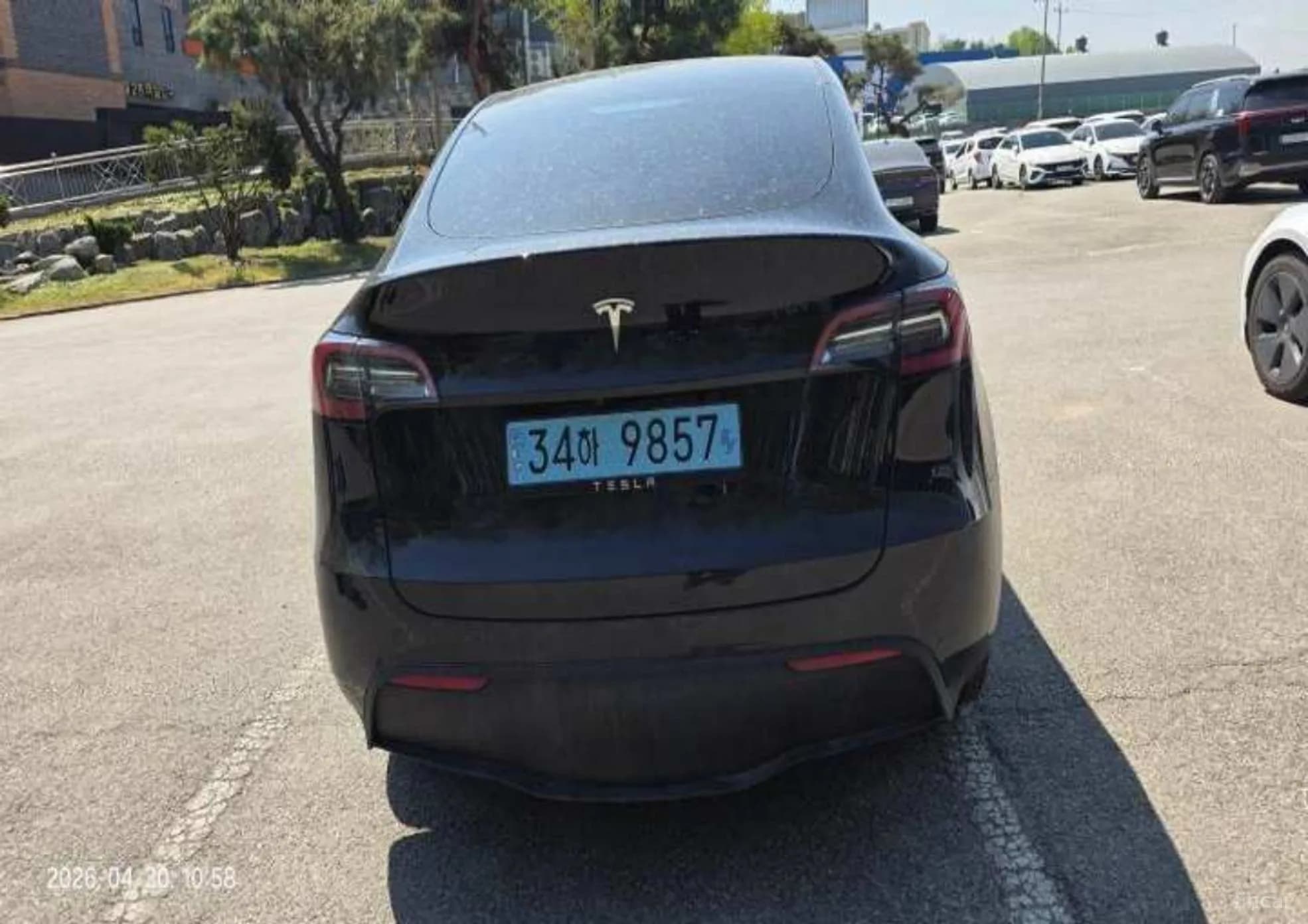 Model Y