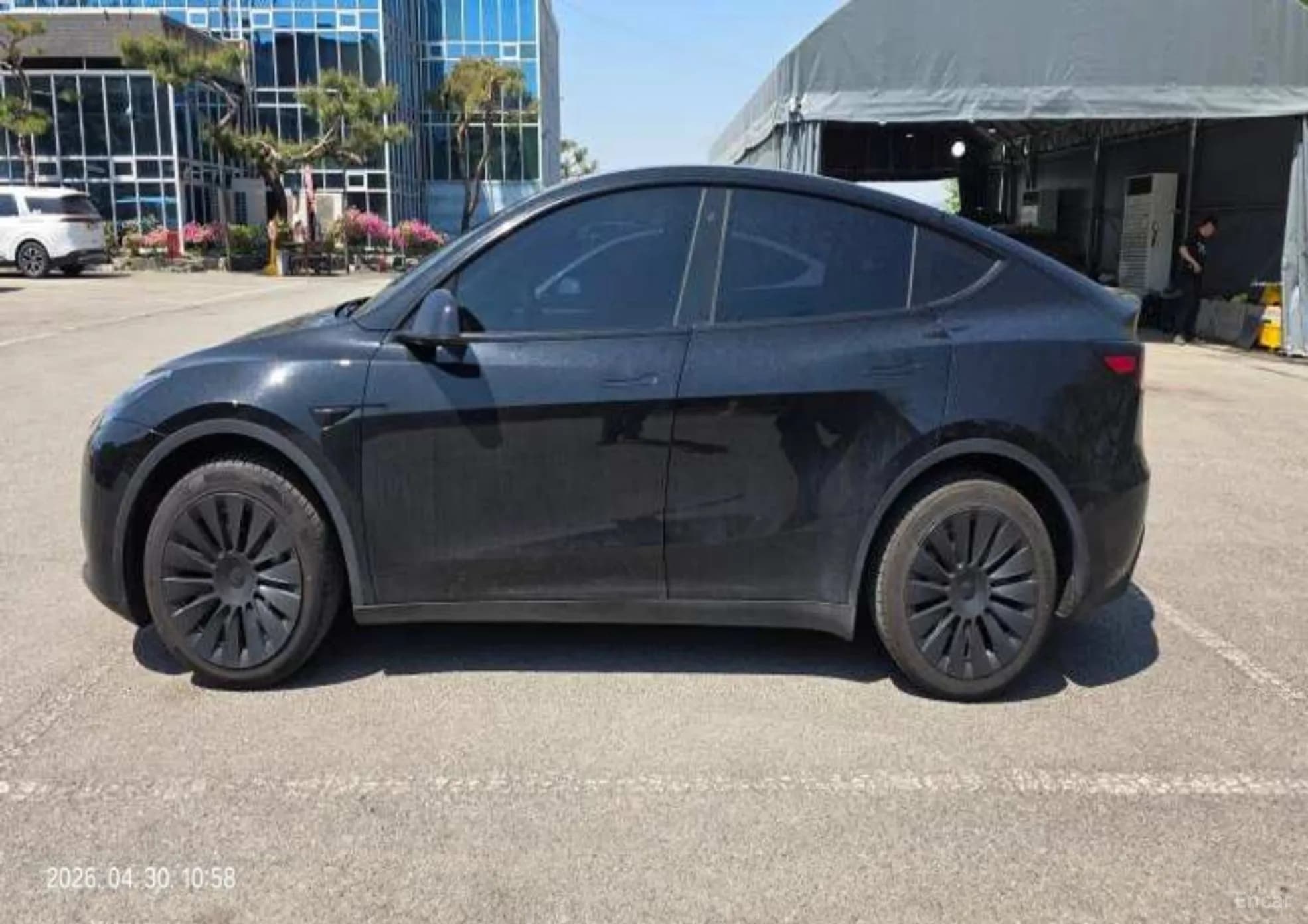 Model Y