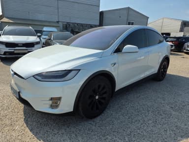Model X