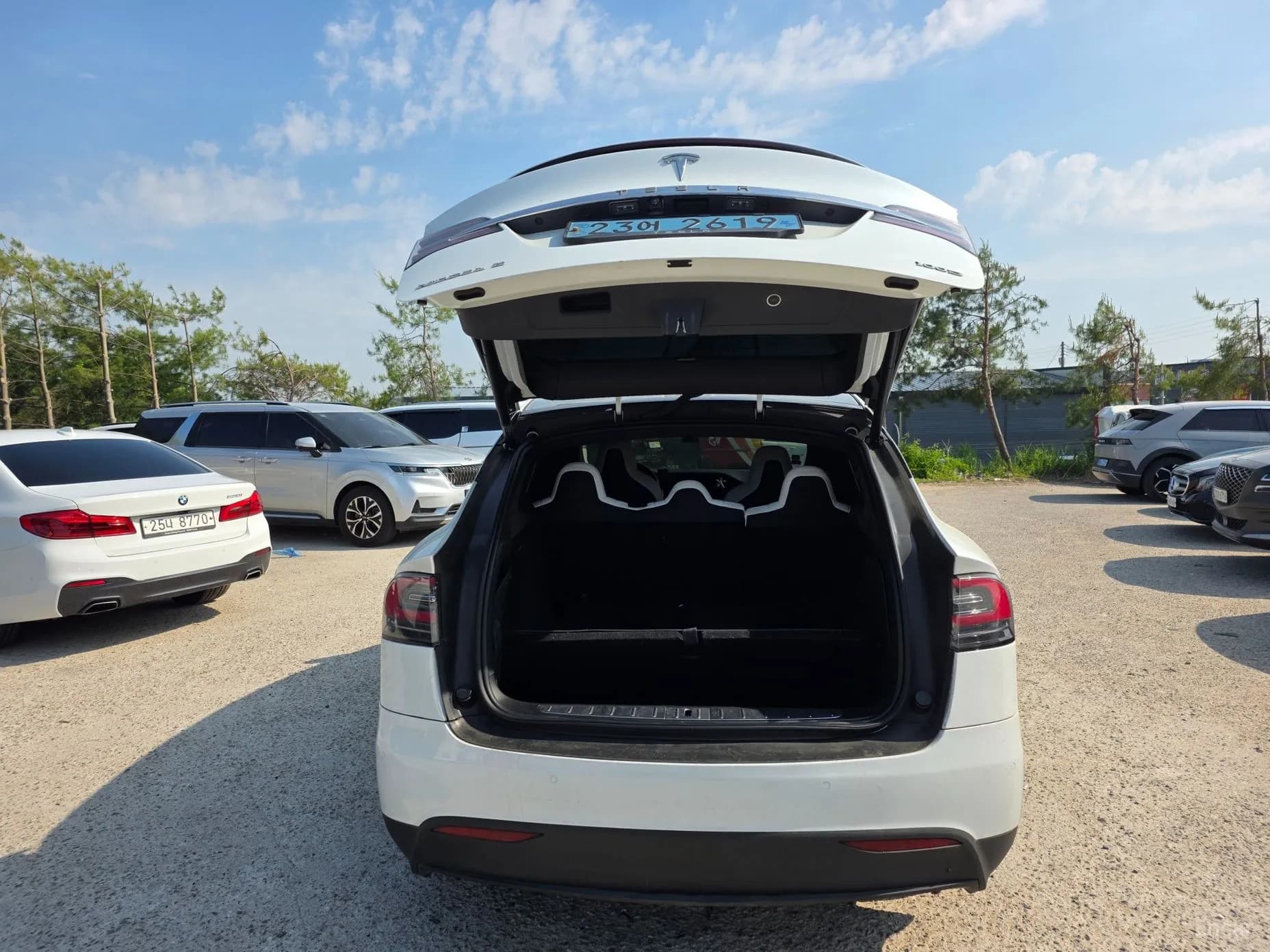 Model X