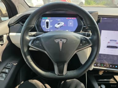 Model X