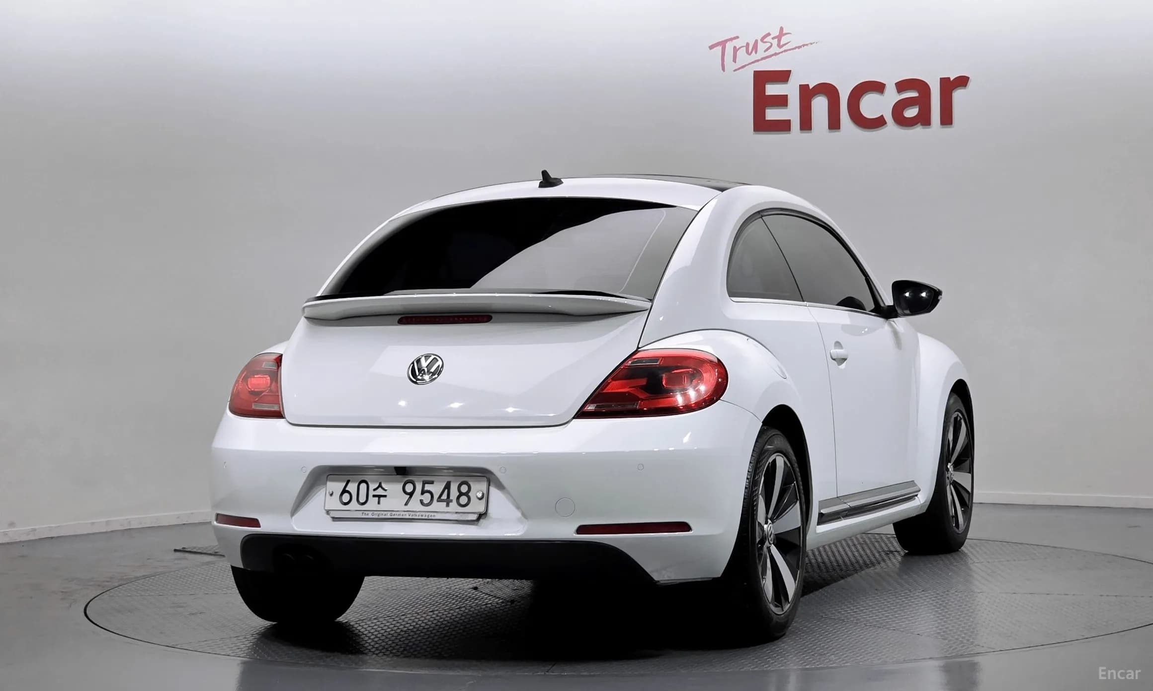 The Beetle