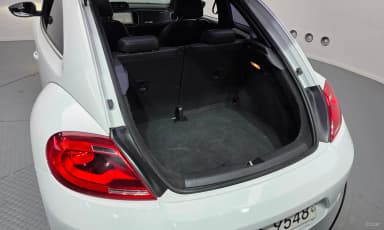 The Beetle