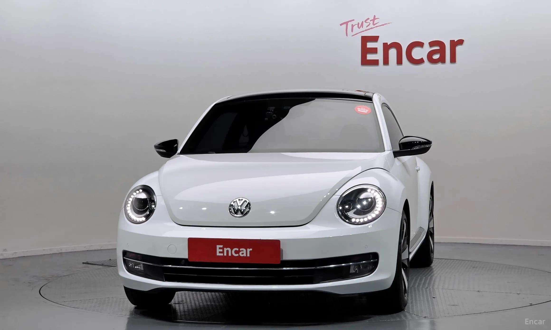The Beetle
