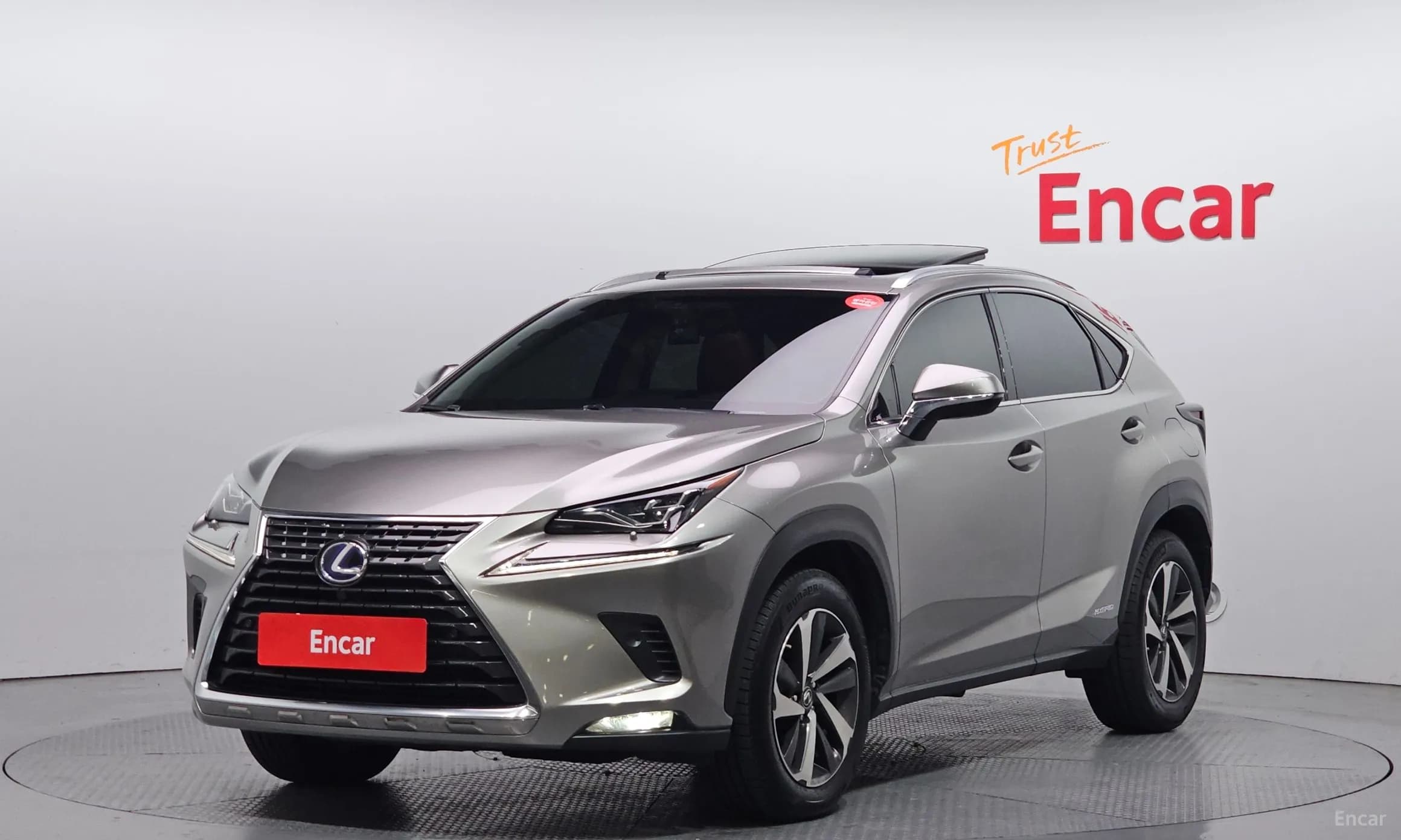 NX300h