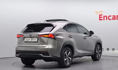 NX300h