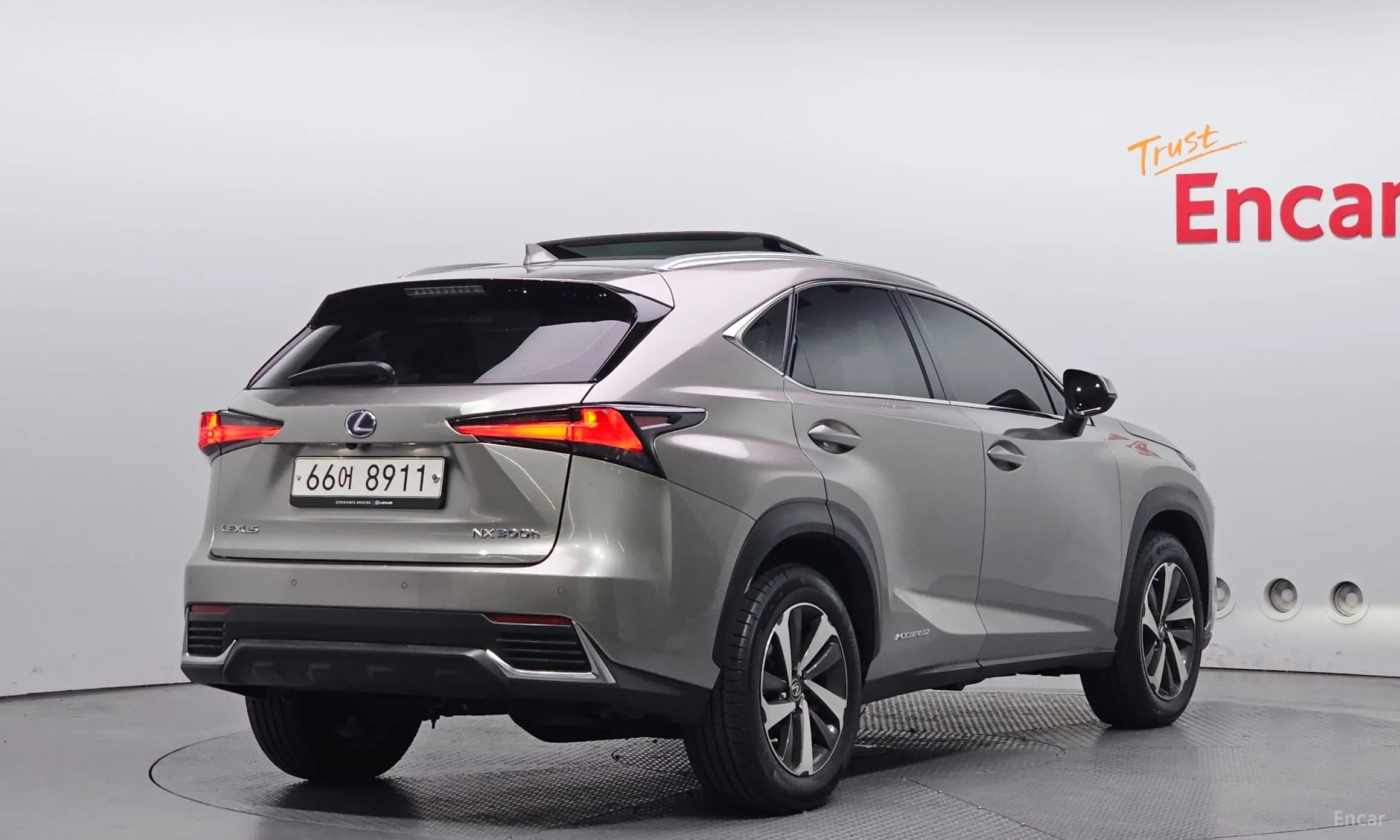 NX300h