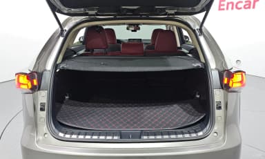 NX300h