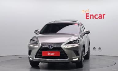 NX300h