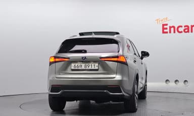 NX300h