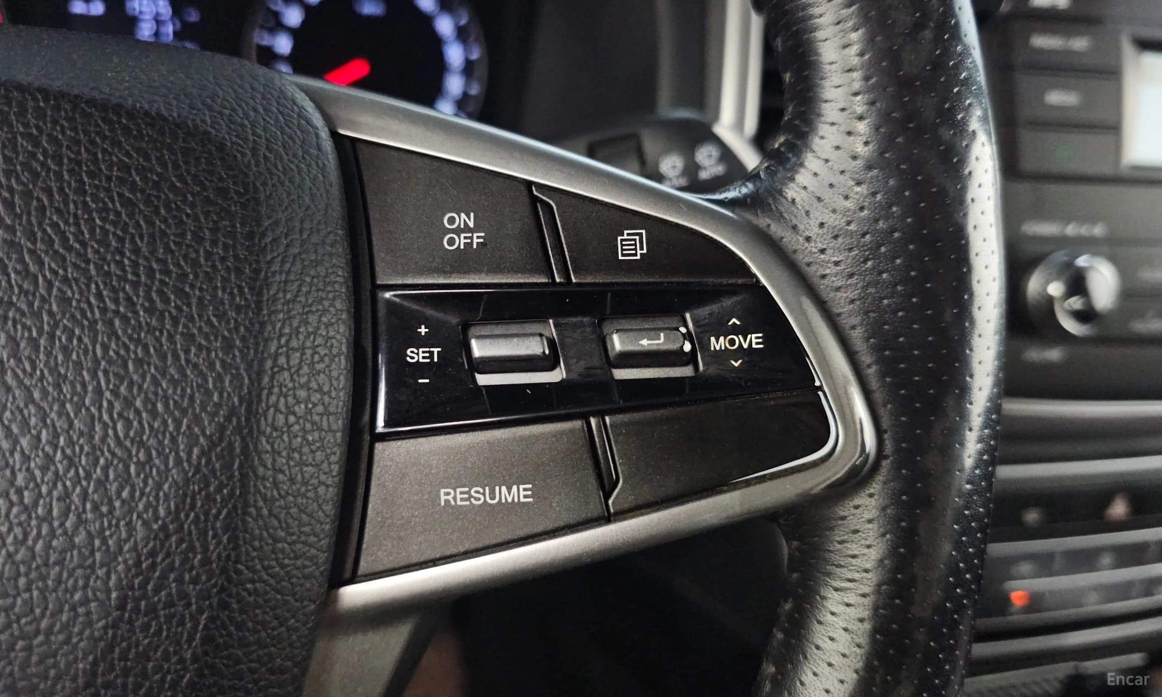Rexton Sports