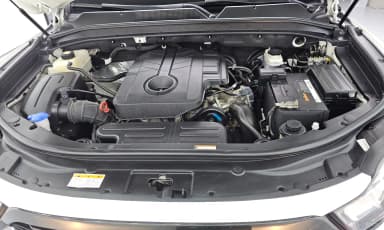 Rexton Sports