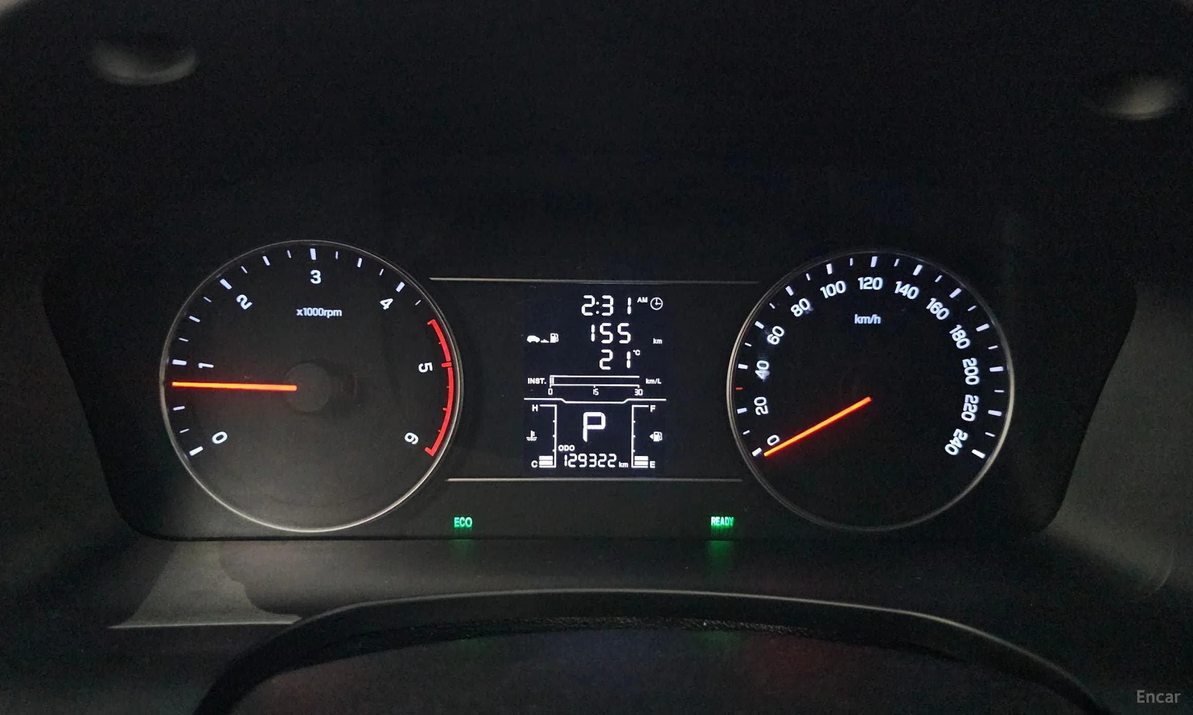 Rexton Sports