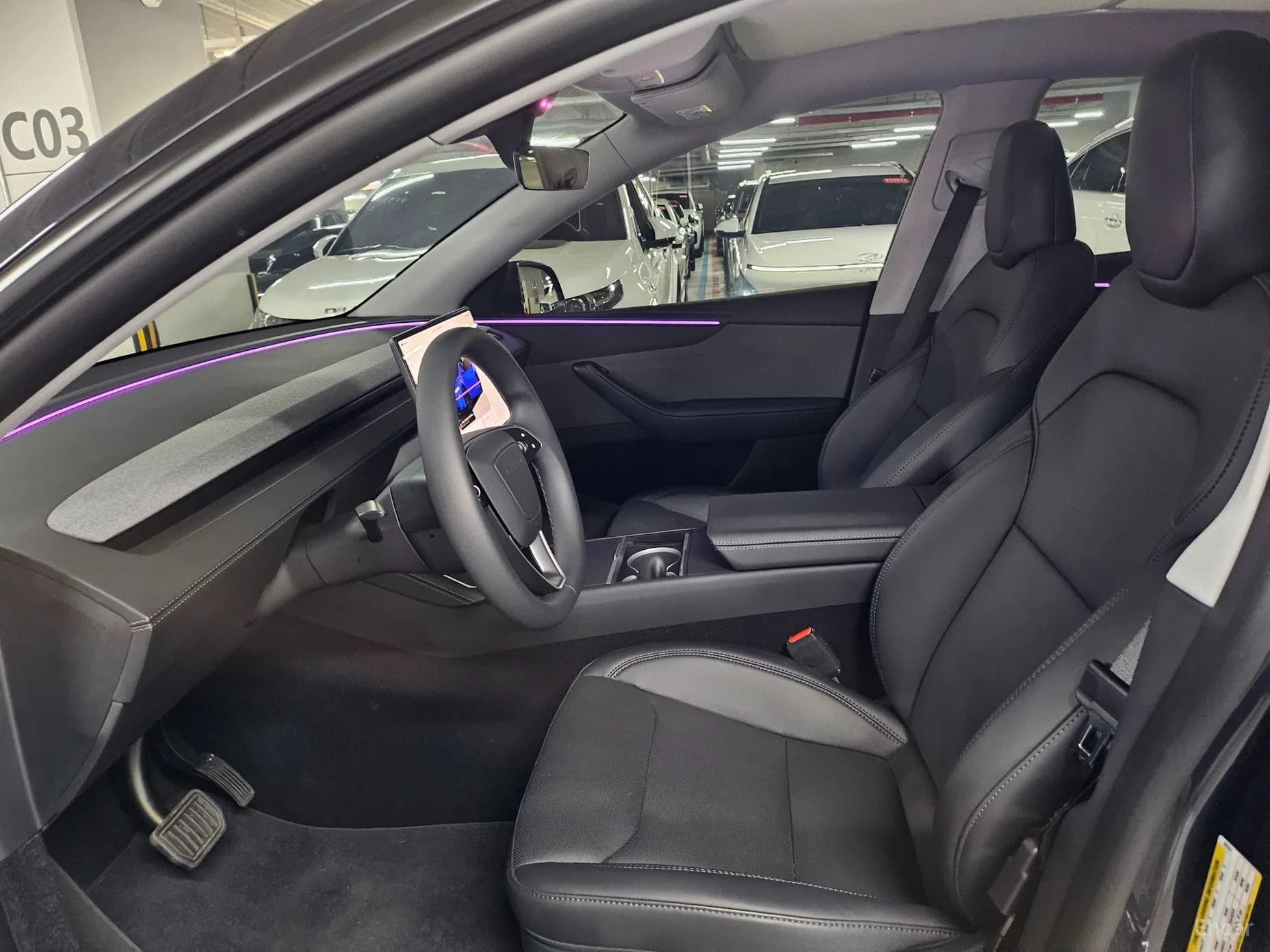 Model Y