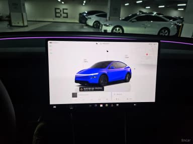 Model Y