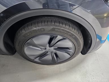 Model Y