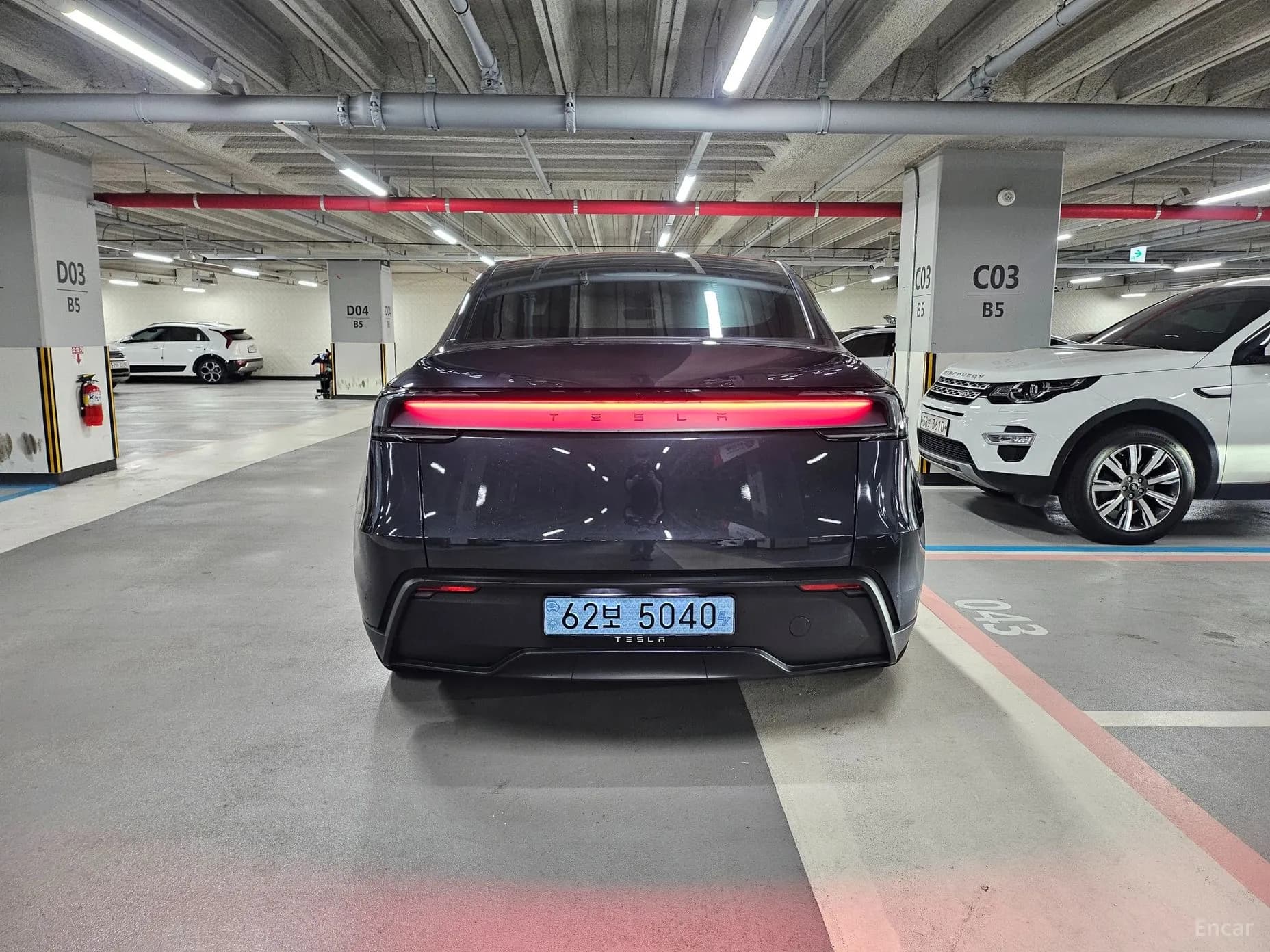 Model Y