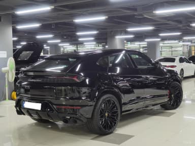 Urus