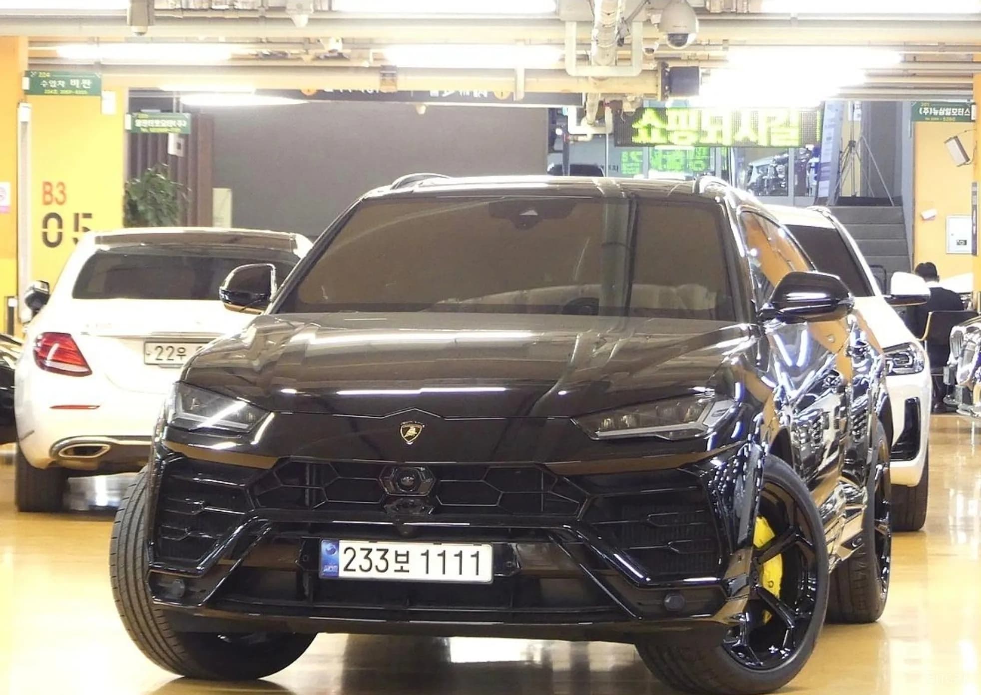 Urus