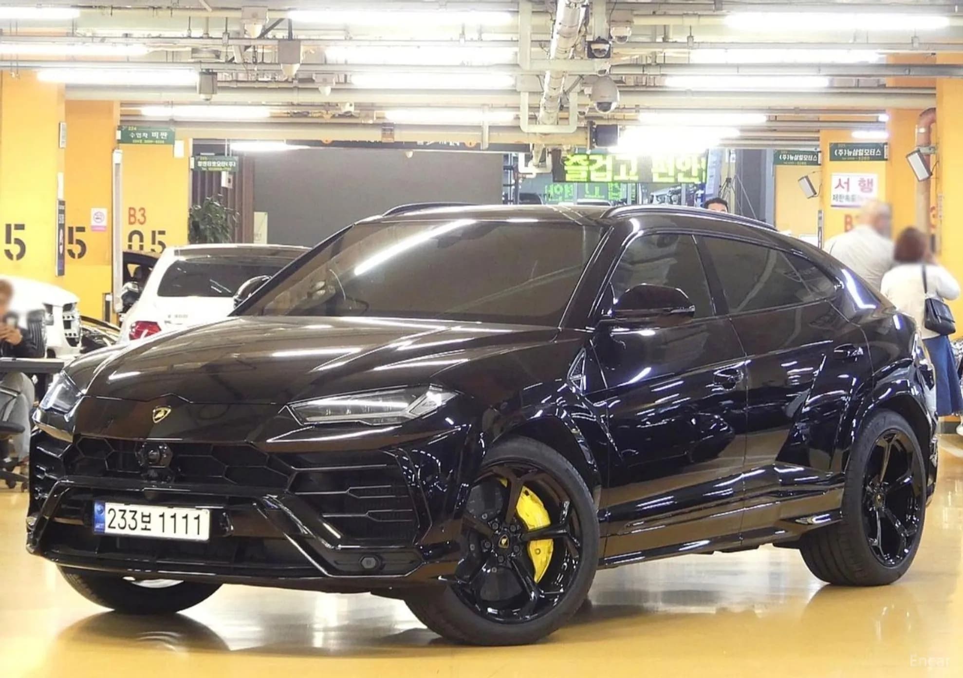 Urus
