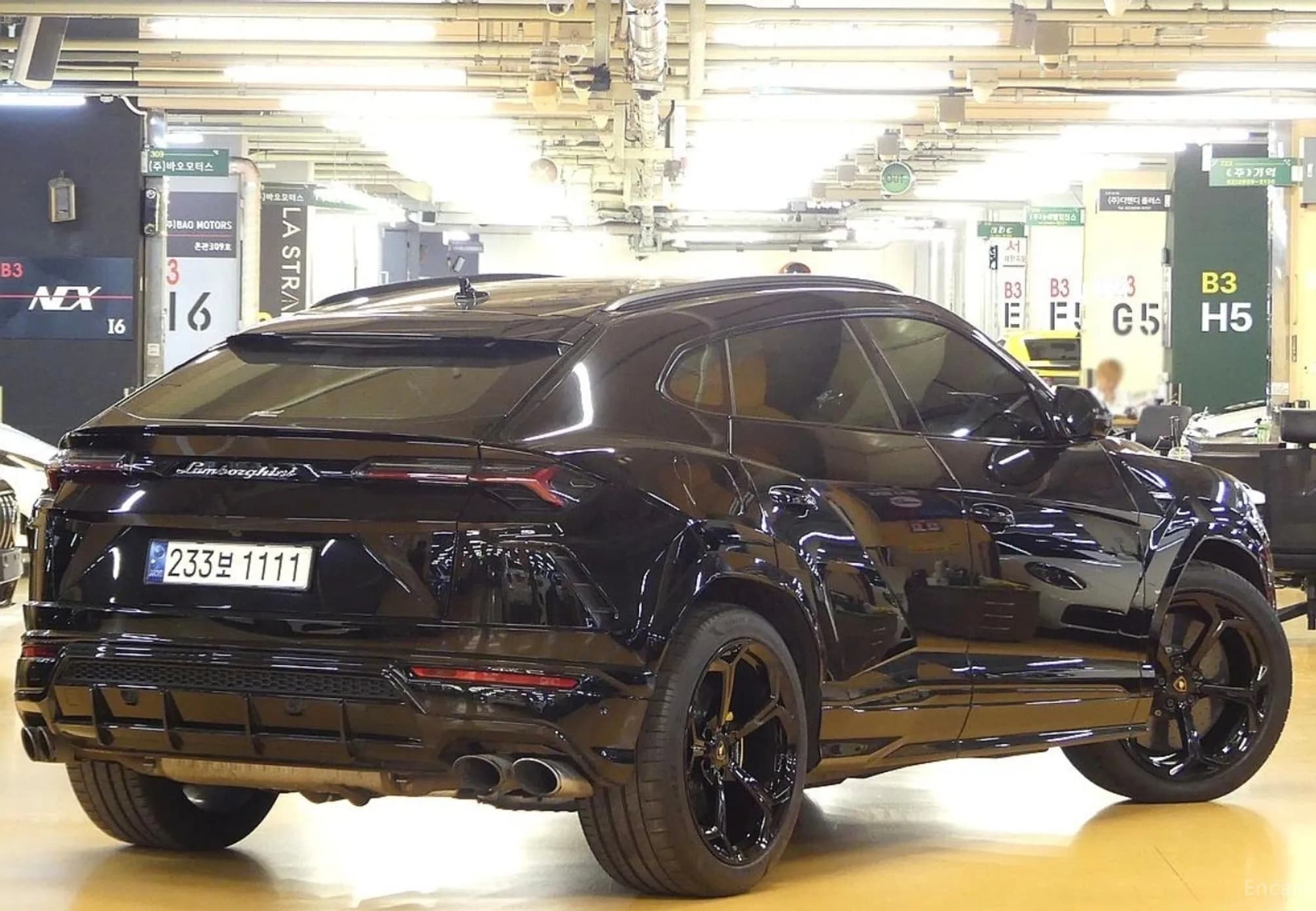 Urus