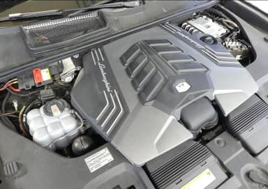 Urus