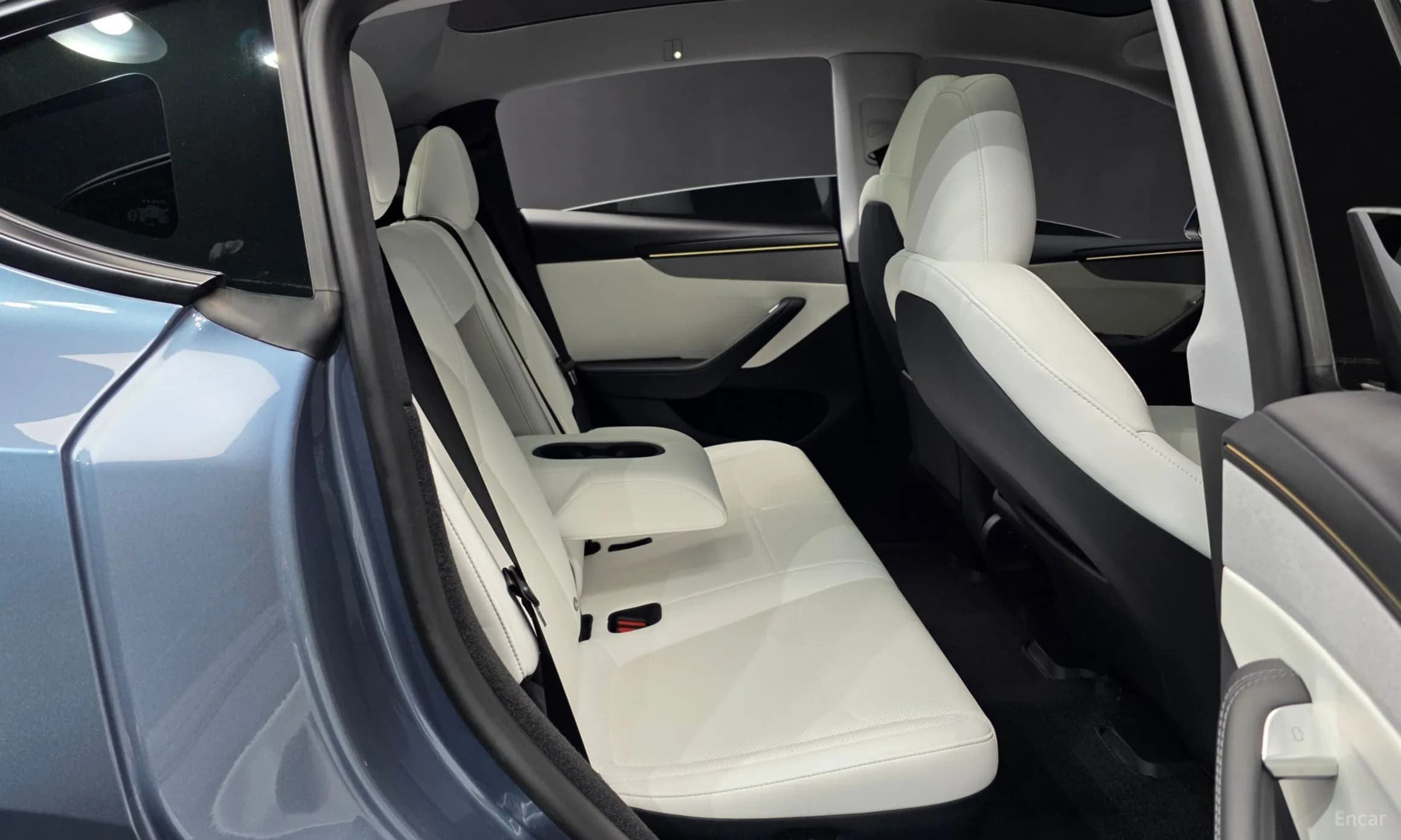 Model Y
