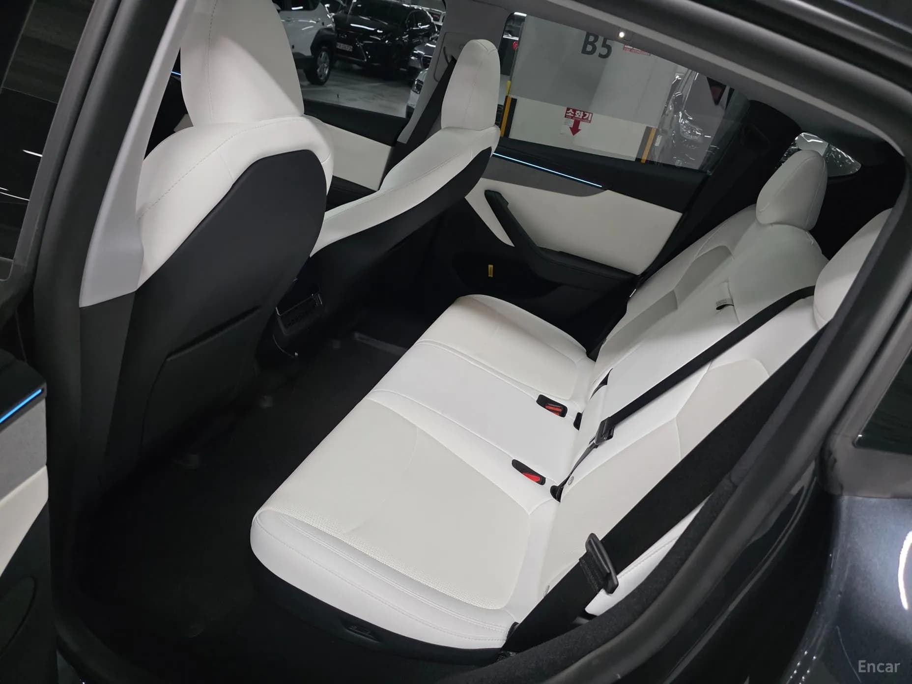 Model Y