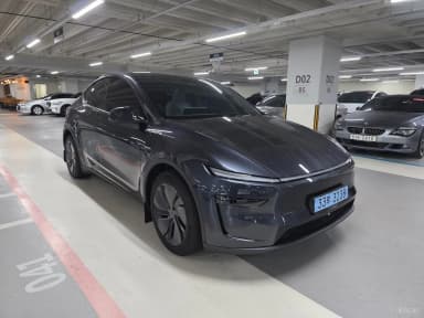 Model Y