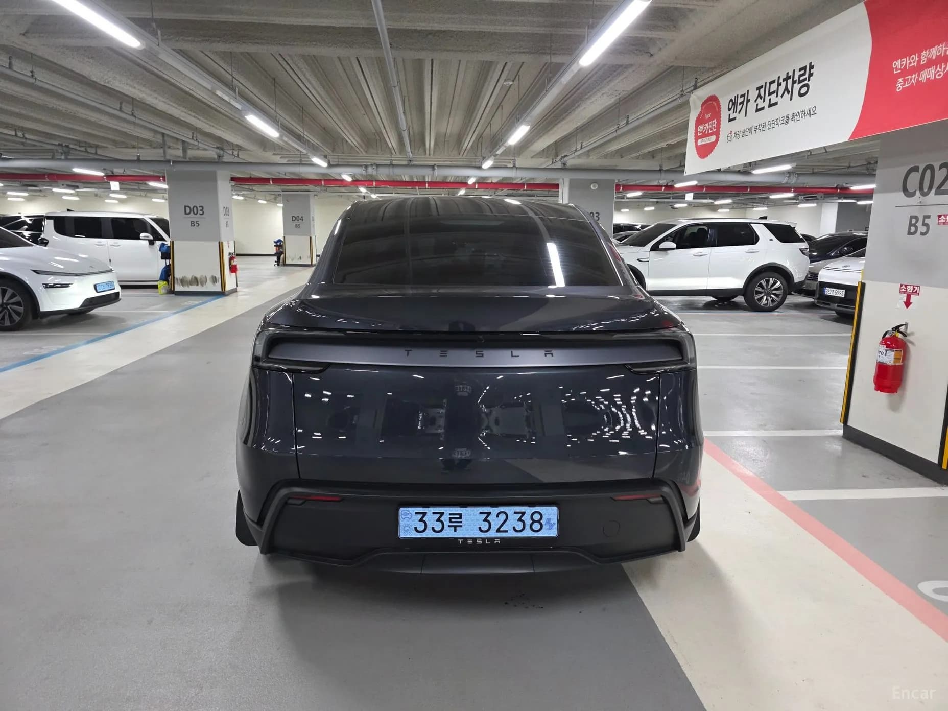 Model Y