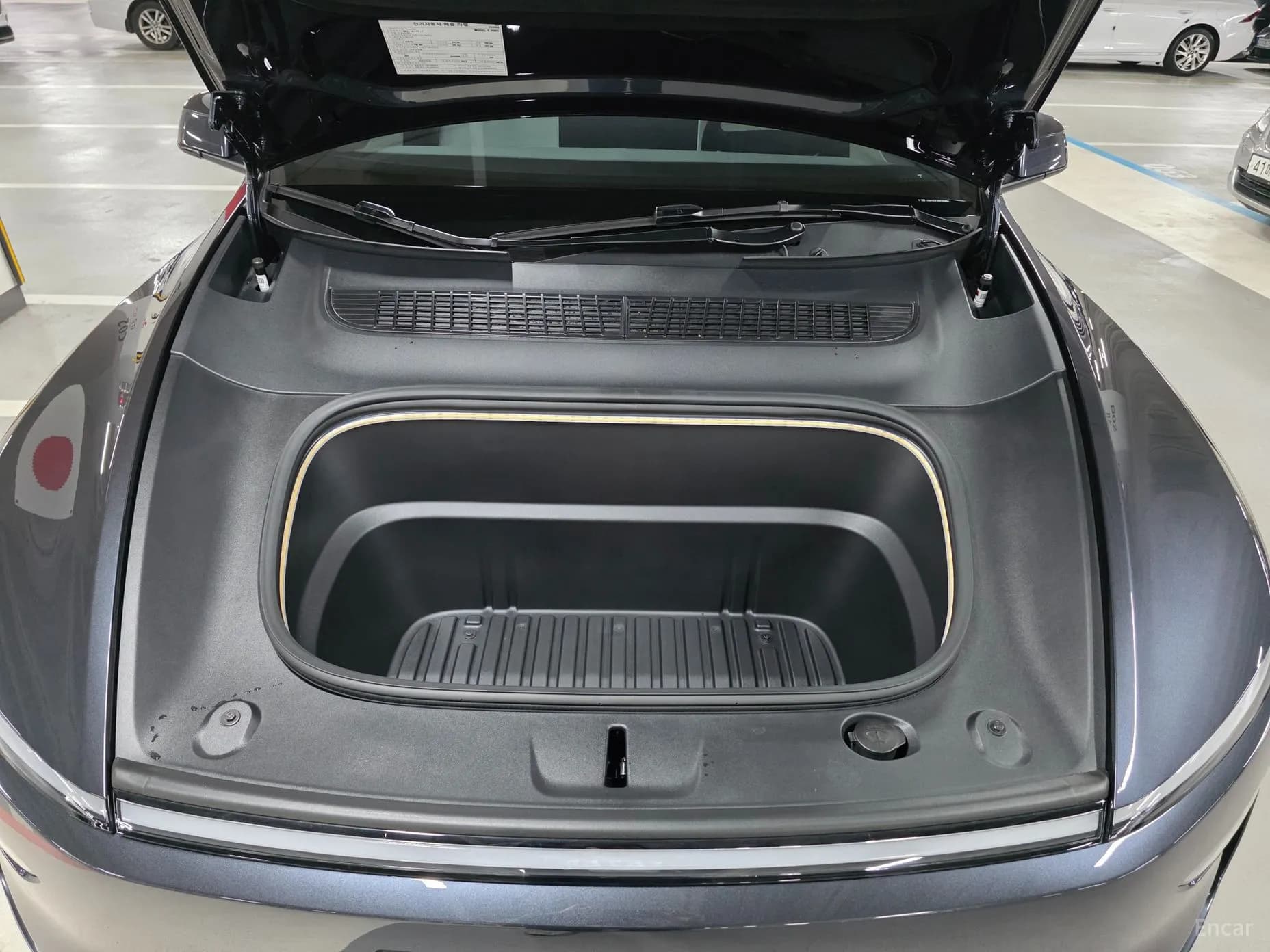 Model Y