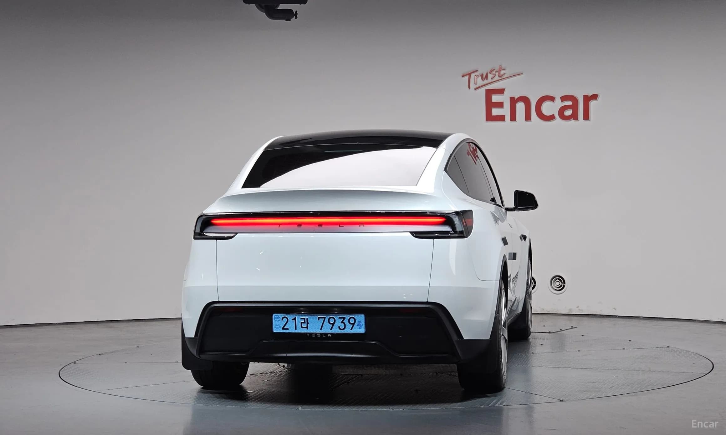 Model Y