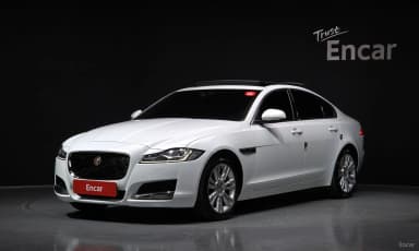 XF (x260)
