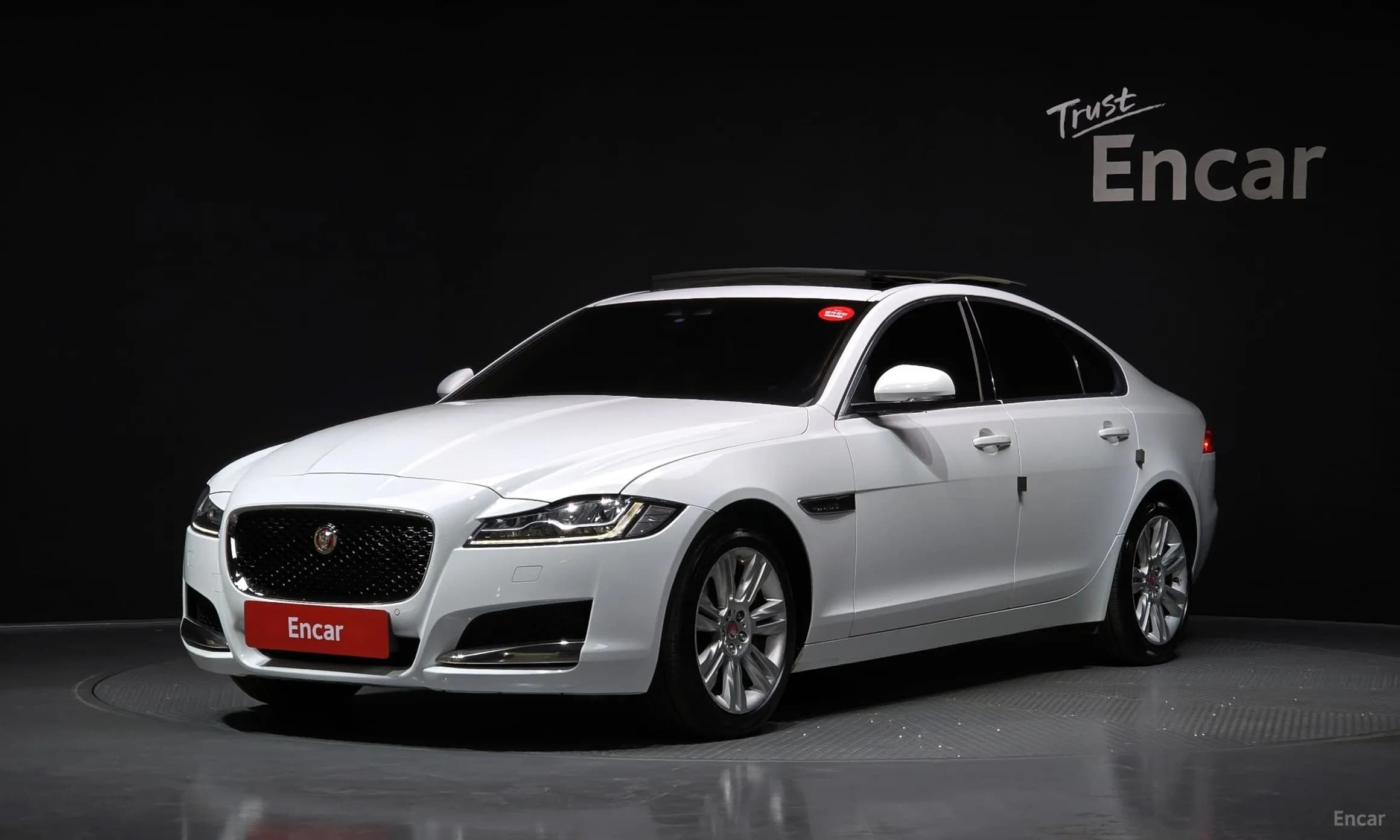 XF (x260)