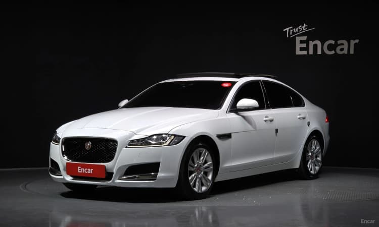 XF (x260)