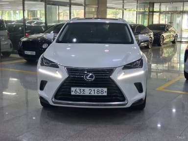 NX300h