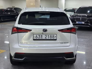 NX300h