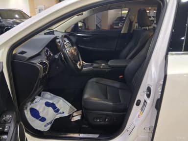 NX300h
