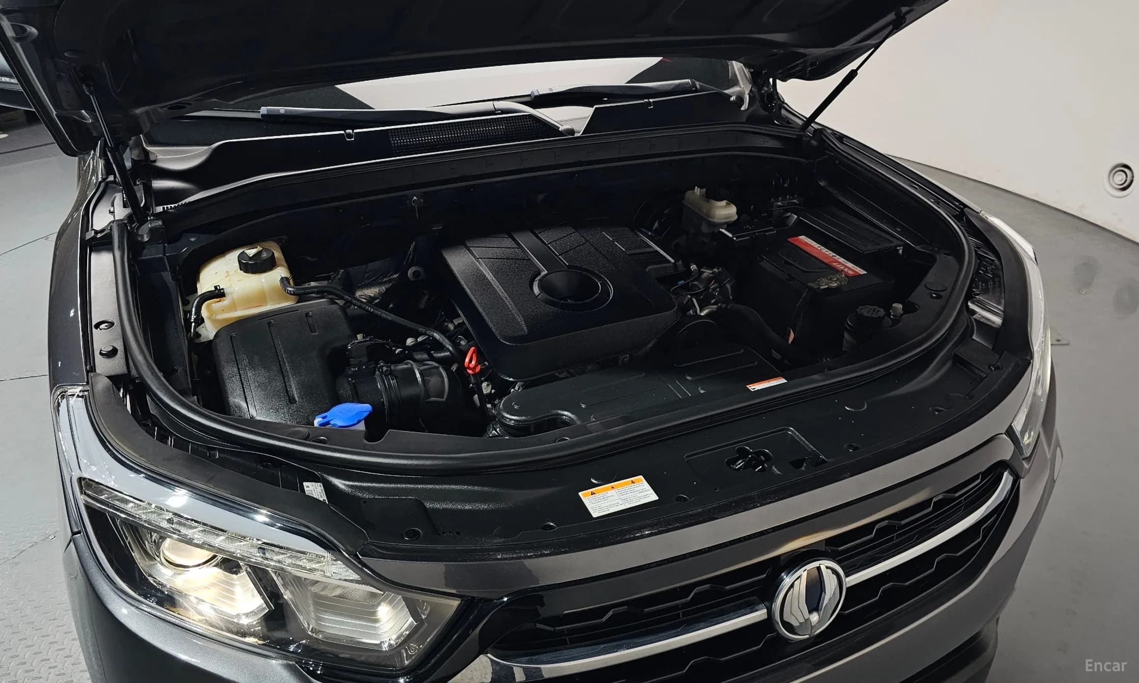 Rexton Sports