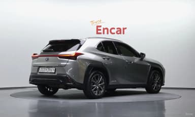 UX250h