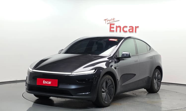 Model Y
