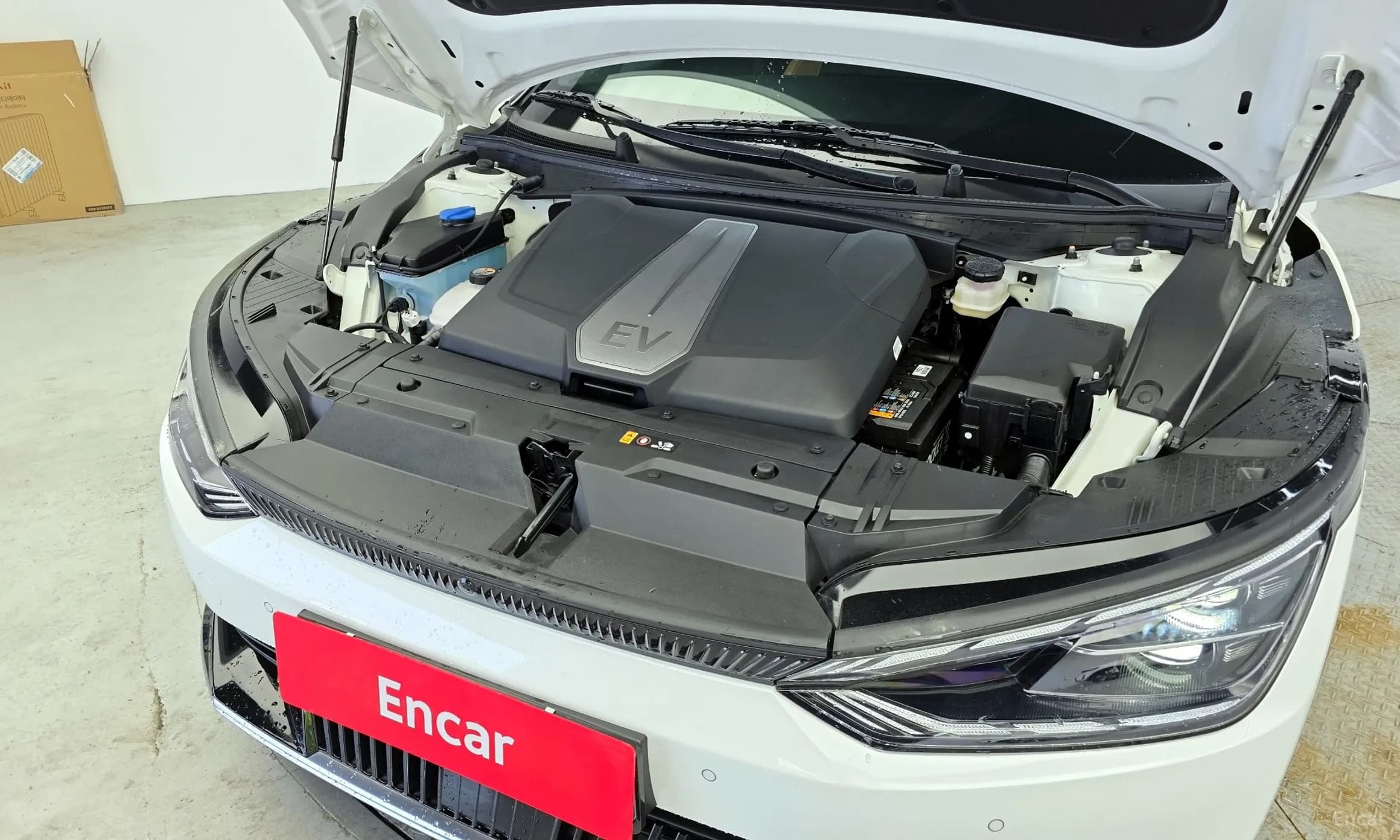 EV6