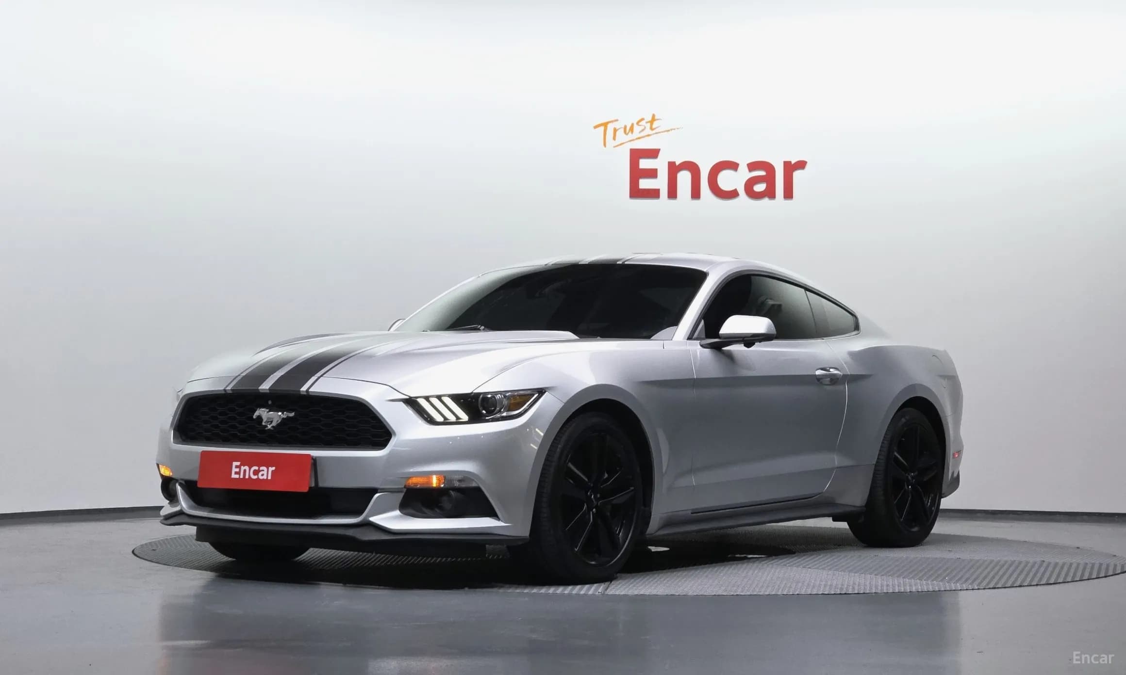 Mustang