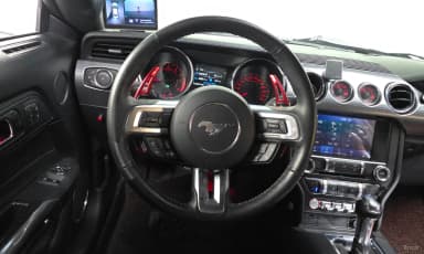 Mustang
