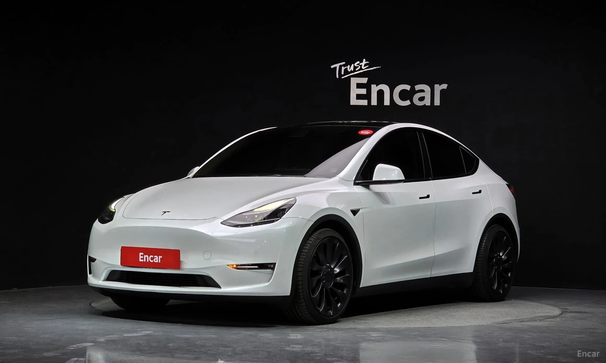 Model Y
