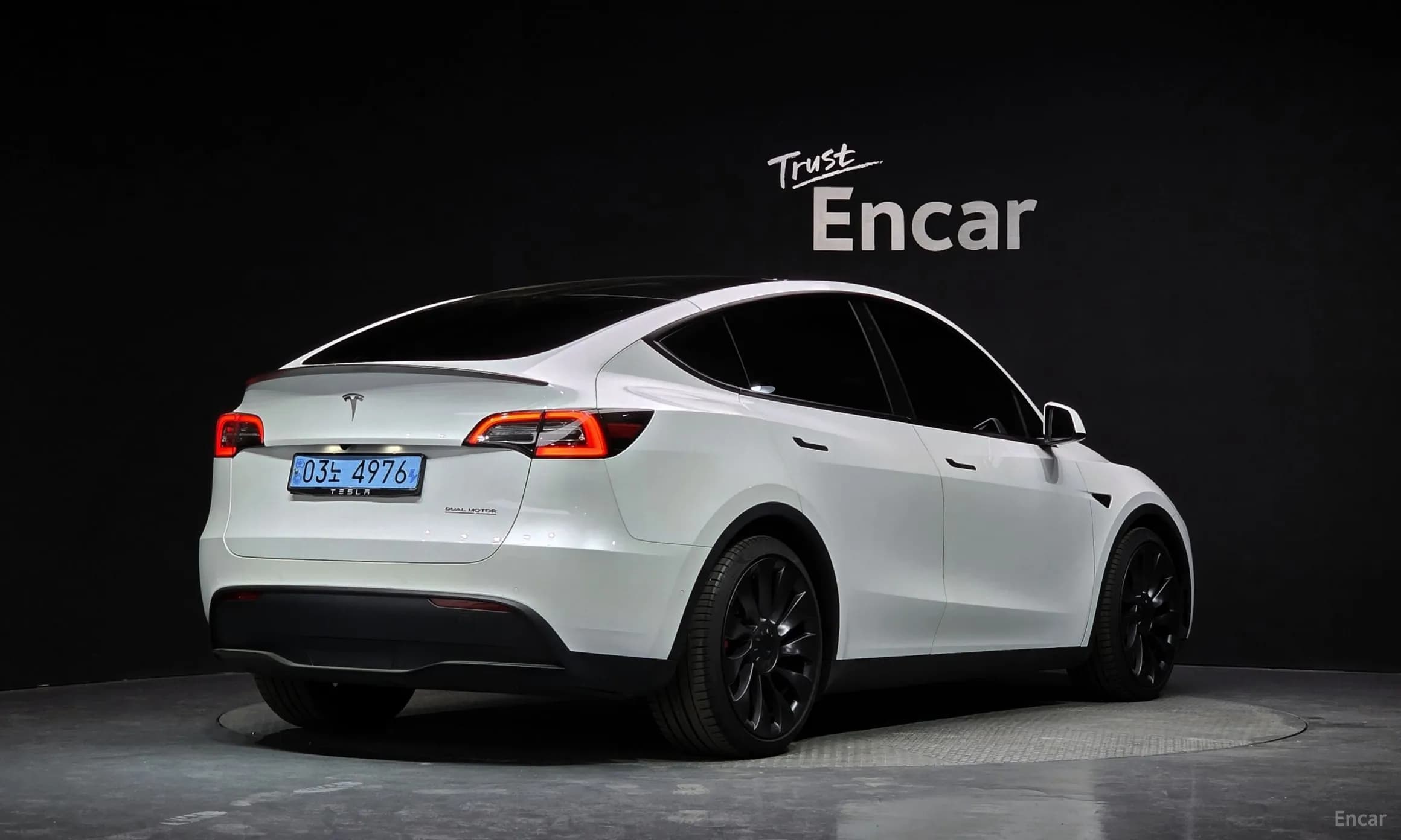 Model Y